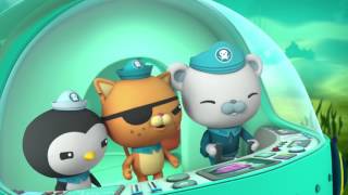 Octonauts and the Porcupine Pufferfish Full Episode