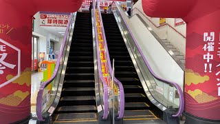 コジマ×ビックカメラ 卸団地店 エスカレーター【TOSHIBA】