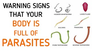 Don't Ignore These Early Symptoms Of Parasites In Your Body