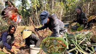 ຂຸດກະປູແກງໃສ່ຫນໍ່ແຂມ//ขุดกะปูแดงแกงใส่หน่อแขม 30 มกราคม ค.ศ. 2025