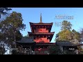 30秒の心象風景15241・相輪～柏原八幡神社～