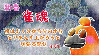 【雀魂】ゆる麻雀配信 その3