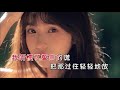 云菲菲 《掌心的阳光》 ktv 导唱字幕 （备有伴奏视频）