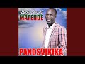 Kuzadzisa ndekwashe