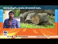 മുട്ടില്‍ മരംമുറിക്കേസില്‍ ഇഡി അന്വേഷണം ഇഴയുന്നു muttil tree felling case