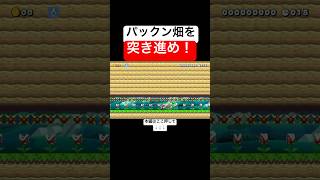 暴走ヨッシーと無敵時間を使ってパックン畑を越えていけ！　#スーパーマリオメーカー2 #マリメ2#世界のコース