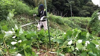 [草刈り]田舎暮らしと自給自足生活～雑草生えるの早すぎる…クコの苗を救出しないと～2021/08/20-2