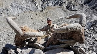 DAGESTAN TUR HUNTING STEPHAN SKAGGS \u0026 TURKISH FRONTIER