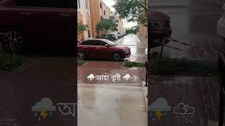 ⛈️⛈️⛈️আহা বৃষ্টি ⛈️⛈️⛈️⛈️