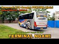 BUS Sampai MENTUL - MENTUL!! Suspensi Bermain di TERMINAL NGAWI||Sugeng Rahayu,EKA,Rosalia Indah