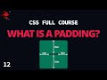 Learn CSS Padding In 5 Minutes
