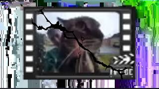 What Happens If You Edit a Video File's Bytes?