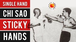 Wing Chun Single Hand Chi Sao - Sticky Hands