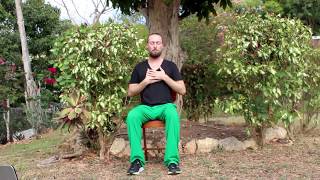 20 min Gentle Chair Yoga with Jacob Cino
