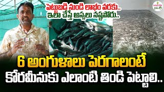 ఈ వీడియోతో మీ అపోహలన్నీ మాయం | Complete Guide on Korameenu Fish Farming in Telugu | SumanTV Rythu