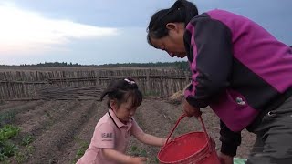 东北大龙：乡村小院真热闹，小孙女陪着奶奶打理小菜园，简单的田园生活