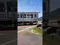 【踏切】下所踏切　ラ・マル　ことひら　（jr四国　土讃線） jr四国 踏切 電車 踏切カンカン railroad crossing japanrailway 鉄道 train