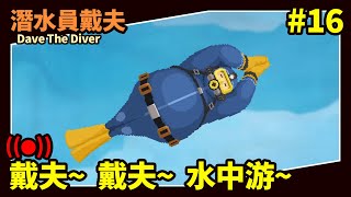 🔴【薯織直播】還在潛水~  等待大作 │潛水員戴夫 DAVE THE DIVER