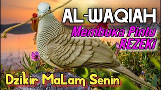 SURAH AL-WAQIAH !! Di iRingi SUARA Perkutut Bikin TENTRAM !! PUTAR MAKA REZEKI AKAN MENGALIR DERAS.