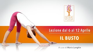 IL BUSTO - Lezione dal 6 al 12 Aprile - SPINE YOGA