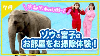 【ぞうの宮子】・生後３日目【キリンの赤ちゃん】【日本一空いている！？プール】の情報だにゃ！