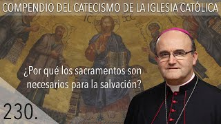 nº 230 ¿Por qué los sacramentos son necesarios para la salvación?