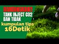 Apakah Tank Inject dan Non Inject Co2 Bisa Bersaing????