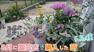 【ガーデニングvlog】雨で傷んでしまった植物┃8月/購入苗 オシャレでシックな寄植えを作ってみました♪5品種