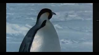Same voice actor #7 #lingling #drawntogether #farceofthepenguins