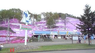 東藻琴芝桜公園