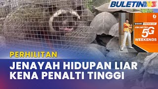 PERHILITAN | Jenayah Hidupan Liar Dikenakan Penalti Lebih Tinggi Mulai Hari Ini