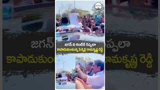 వైఎస్ జగన్ | పెనెల్లి రామకృష్ణా రెడ్డి | మాచర్ల | పల్నాడు | గుంటూరు | ప్రజాహితం