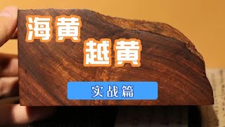 带大家来店里实战区分海黄和越黄！