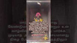 Om Muruga 🙏🙏 #muruganvakku #lordmurugan #murugan #youtubeshorts #shortvideo #trending #devotional