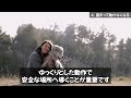 犬がストレスを抱え込んでいる時に見せる仕草【12選】