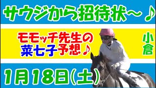 【競馬予想】　藤田菜七子　１月１８日　小倉２Ｒに注目してます～♪　おまけ、で、京成杯をつけときます～♪