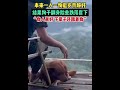 funny！搞笑人生！沙雕日常！😂狗子：差点看见我太奶😂 搞笑 funny duet memes 搞笑段子 calligraphy 熱門 推薦