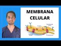 MEMBRANA CELULAR | BIOLOGÍA CELULAR