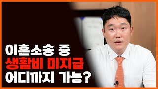 이혼소송중 생활비 지급? 재산은닉은 어디까지?