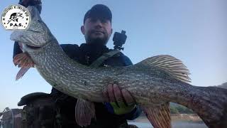 13KG DEV TURNA BALIĞI YAKALADIK VE SALIMINI YAPTIK / BIG PIKE HUNTING / PAS HERYERDE / ÇANAKKALE