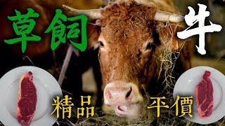 草飼牛比穀飼牛更美味？精品/平價 草飼牛 PK