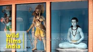 Glimpse of various incarnations of Lord Vishnu - Rishikesh