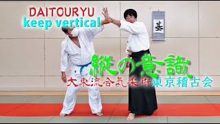 振り向きざまに肘関節を取ってしまう古武術の動き！相手が抵抗できない腕の使い方とは？　東京稽古会316 縦の意識　大東流合気柔術