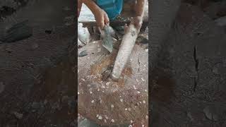 Excellent Little shoil Fish Cutting Skill #viral #shortvideo #shortsfeed #viralvideo #viralvideo