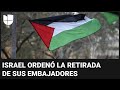 España, Irlanda y Noruega reconocen el Estado palestino: ¿por qué es una decisión histórica?