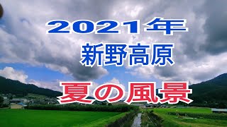 【南信州新野の夏】標高八百米、長野県阿南町新野商店街。下界(飯田市・下伊那郡)の気候と異なる夏の新野高原の風景を。