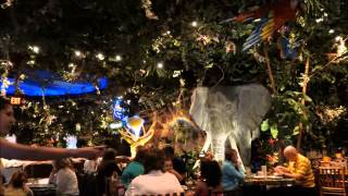 Rainforest Cafe, Downtown Disney, Walt Disney World Resort