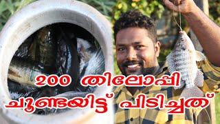 How to Catch Fish Easily | ഈ ചൂണ്ട ഇടൽ കണ്ടാൽ നിങ്ങൾ ഞെട്ടും | Fish Hunting | Alappuzha