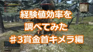 【DDON】♯3経験値効率を調べてみた　賞金首キメラ編