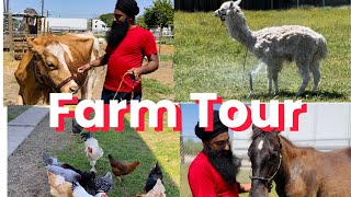 Farm Tour / ਕੈਲੀਫੋਰਨੀਆ ਵਿੱਚ ਸਾਡਾ ਫਾਰਮ / farm Animals 🐄🐓🐕🦚🪴